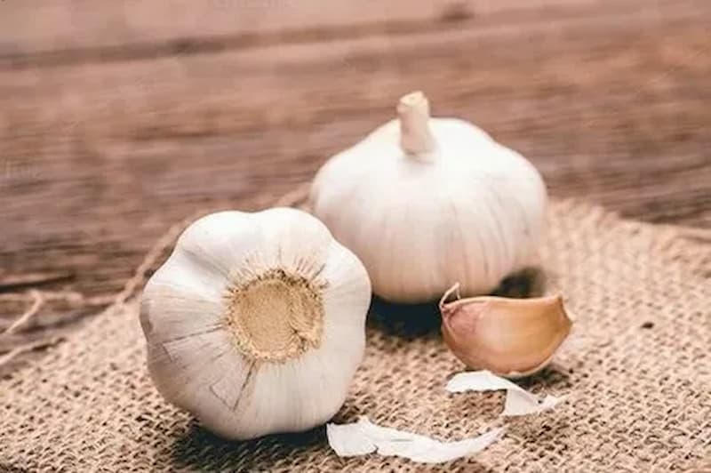 تصویر 3 از سیر فارس ملایم با طعمی نرم و عطری دلپذیر
